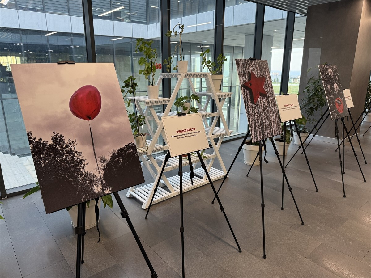 Tekirdağ'da 20 yaşındaki down sendromlu fotoğrafçı Volkan Niyazi Madaslı'nın "Masumiyetin...