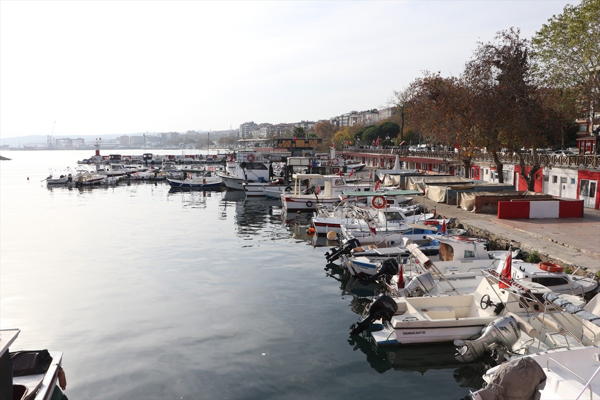 Tekirdağ'da 5 gündür süren lodosun etkisini kaybetmesiyle deniz ulaşımı normale döndü. Balıkçılar...