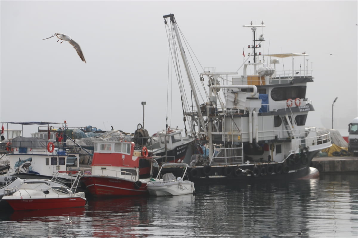 Tekirdağ'da balıkçılar, kentte etkisini sürdüren sis nedeniyle 2 gündür balık avına...
