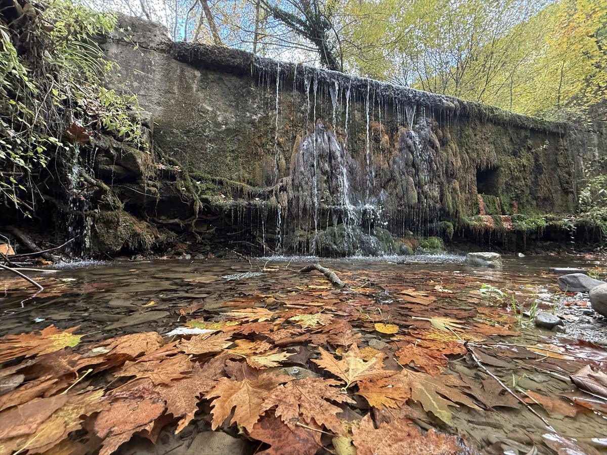 Tekirdağ'da Ganos Dağı eteklerinde sonbahar renklerine bürünen ormanlar, doğada huzurlu vakit...