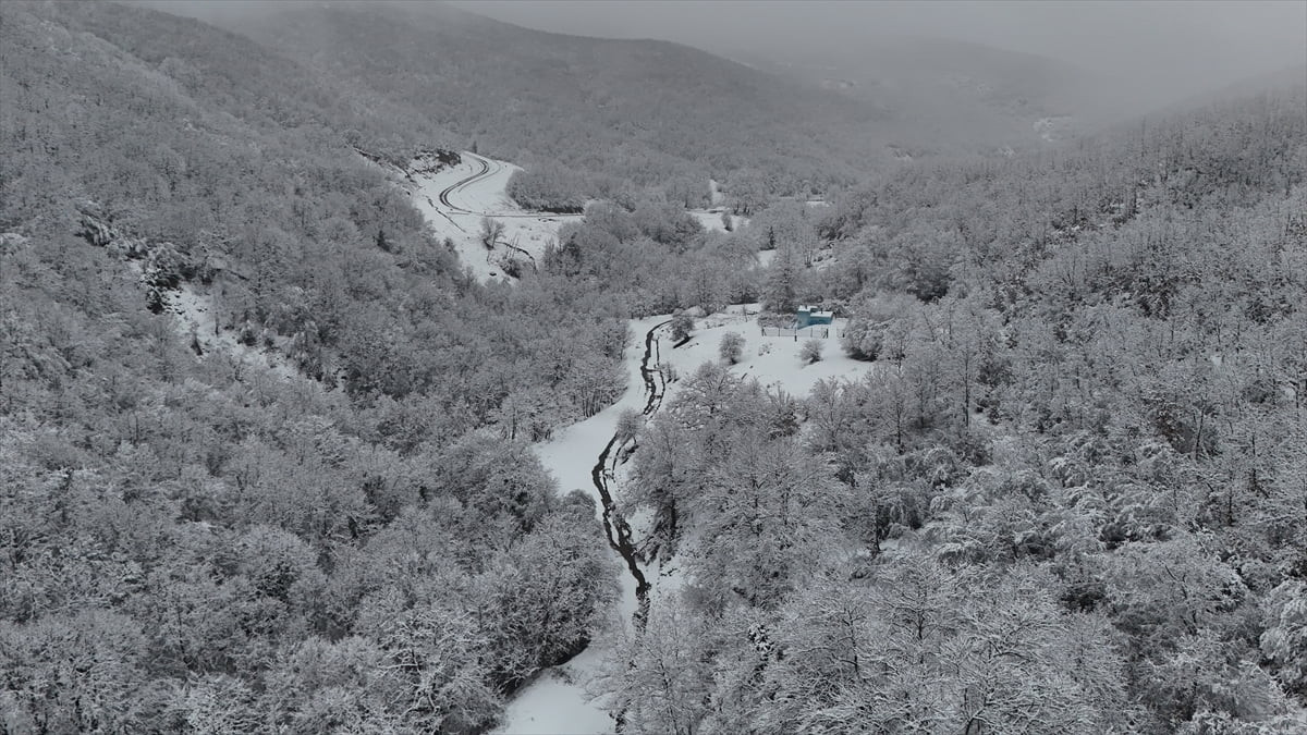 Tekirdağ'da, Ganos Dağı eteklerindeki ormanların karla kaplanmasıyla güzel görüntü oluştu. Beyaz...
