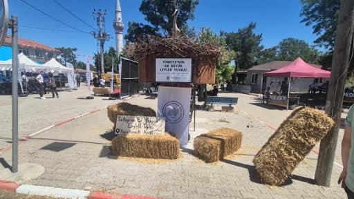 Tekirdağ'da Leylek Festivali