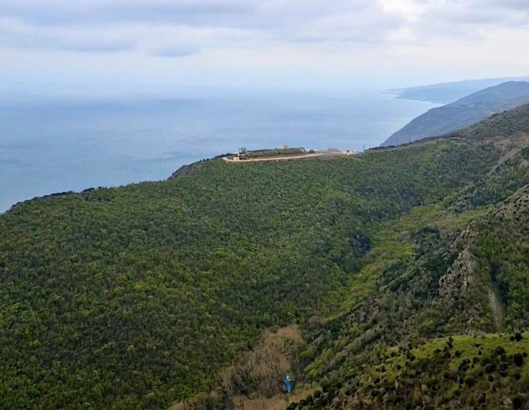 TEKİRDAĞ'DA ORMANLARA GİRİŞ YASAKLANDI