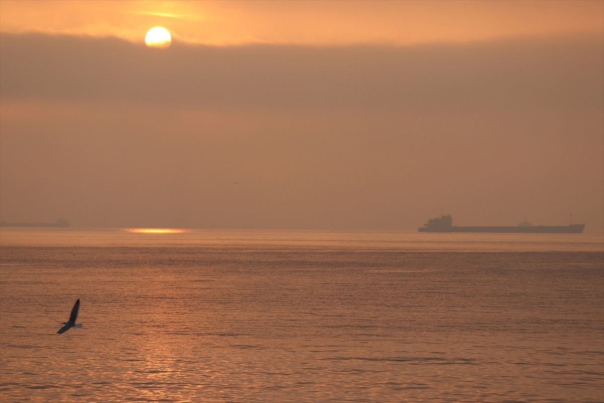 Tekirdağ'da sis yaşamı olumsuz etkiledi. Denizdeki görüş mesafesinin azalmasıyla bazı gemiler...