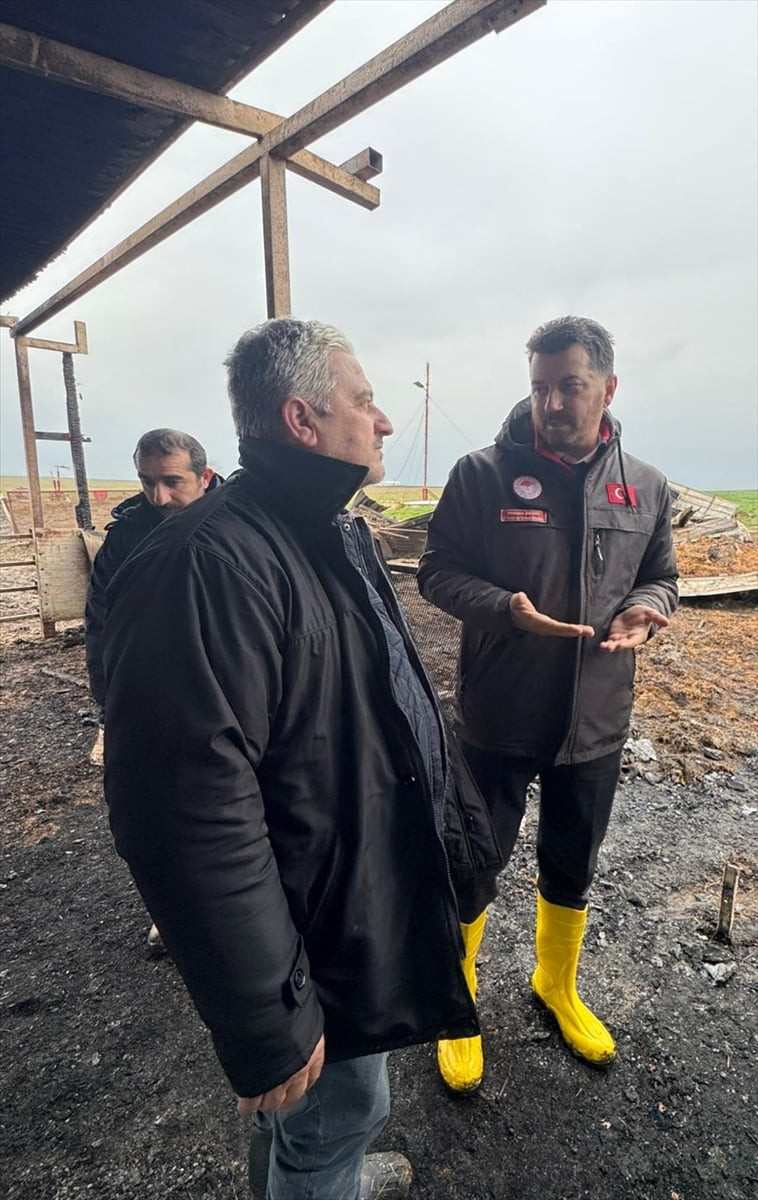 Tekirdağ'ın Ergene ilçesinde bir çiftlikte çıkan yangında 100 koyun öldü. Tekirdağ İl Tarım ve...