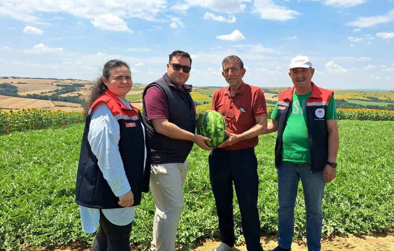 TEKİRDAĞ'IN HAYRABOLU İLÇESİNE BAĞLI EMİRYAKUP MAHALLESİ'NDE SEZONUN İLK KARPUZ HASADI...