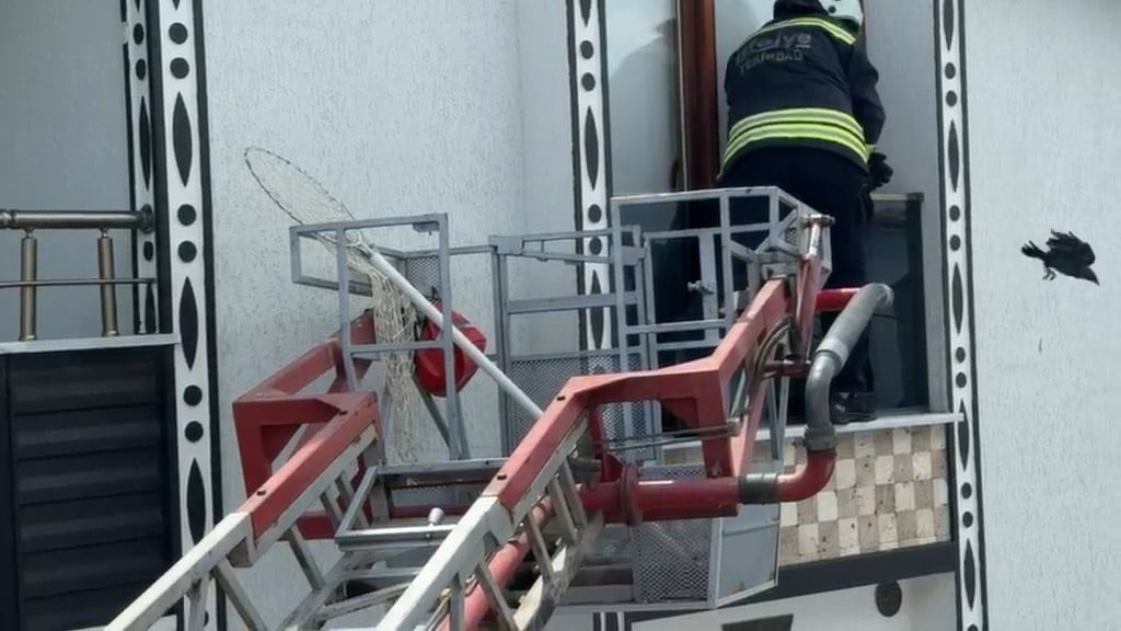 TEKİRDAĞ'IN MARMARAEREĞLİSİ İLÇESİNDE BİR EVİN 3'ÜNCÜ KAT BALKONUNA SIKIŞAN KARGA, İTFAİYE...