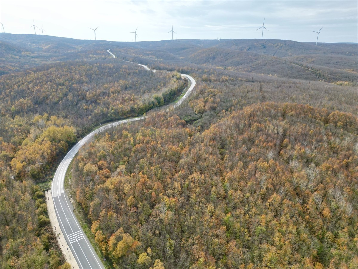  Tekirdağ'ın Saray ilçesinde sonbaharın gelişiyle ormanlar sarı ve turuncunun tonlarına bürünerek...