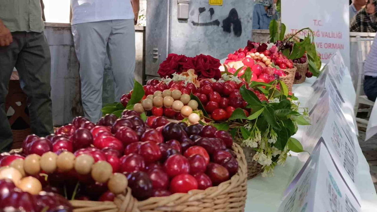TEKİRDAĞ'IN SÜLEYMANPAŞA İLÇESİNDE BU YIL 60'INCISI DÜZENLENEN ULUSLARARASI KİRAZ FESTİVALİ...