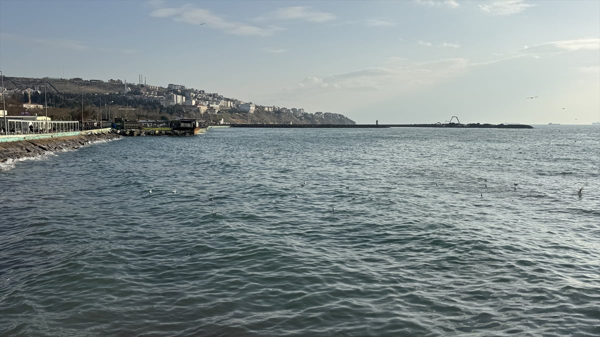 Tekirdağ’da bir haftadır etkili olan lodosun etkisini yitirmesiyle deniz ulaşımı normale...