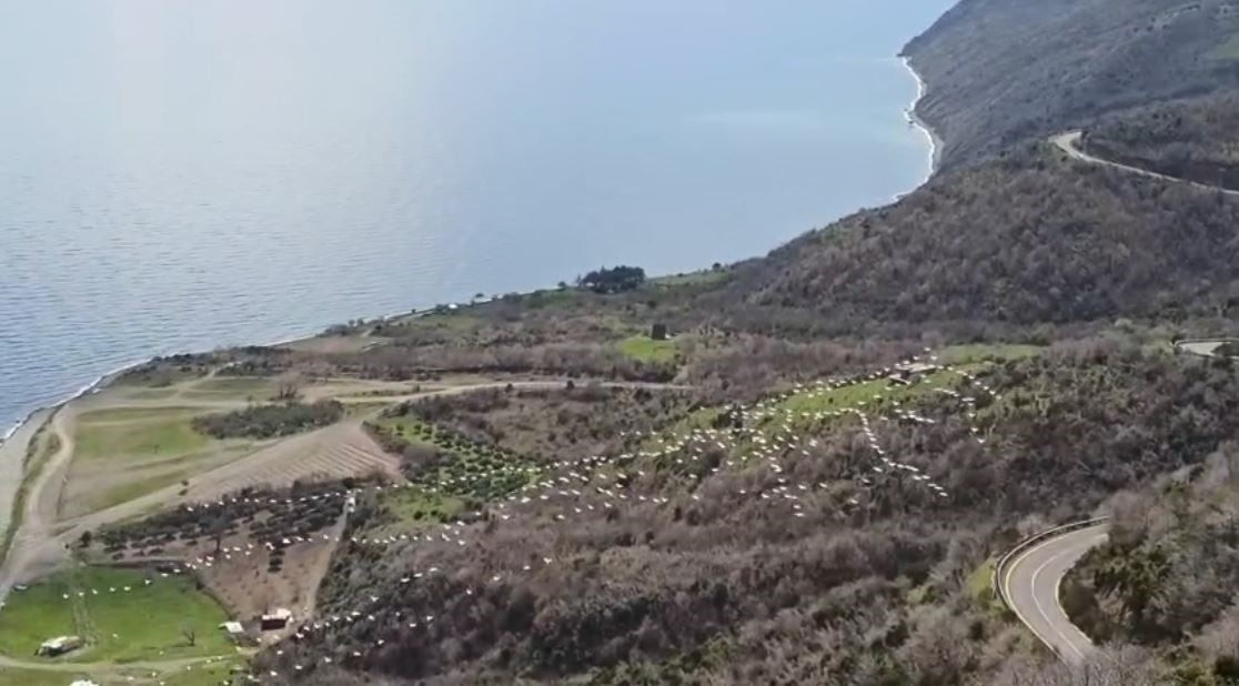 TEKİRDAĞ’DA DOĞANIN EŞSİZ ANLARINDAN BİRİ OBJEKTİFLERE YANSIDI. GANOS DAĞLARI ETEKLERİ İLE MARMARA...