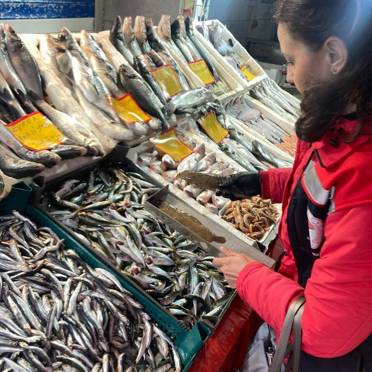 TEKİRDAĞ’DA SU ÜRÜNLERİ DENETİMLERİ ARALIKSIZ SÜRÜYOR