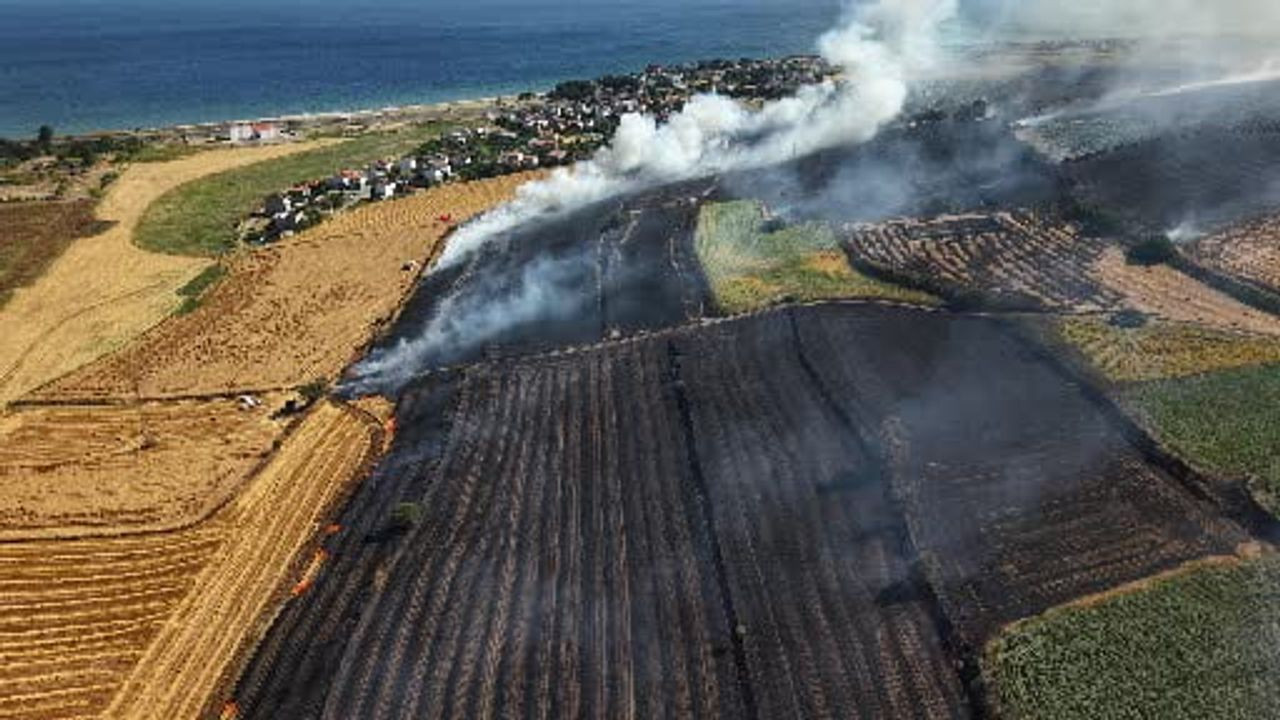 Tekirdağ'daki tarla yangını sonrası hasar havadan görüntülendi