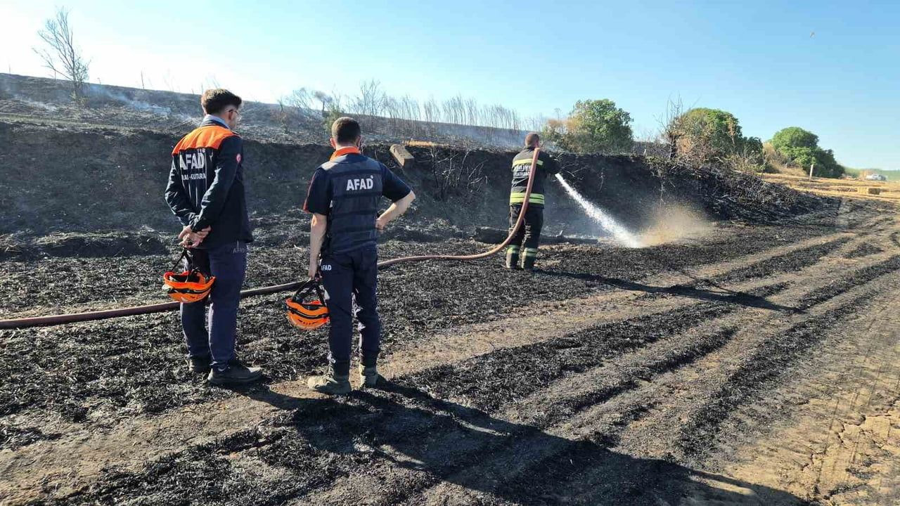 Tekirdağ'ın Süleymanpaşa ilçesinde buğday tarlalarında yangın