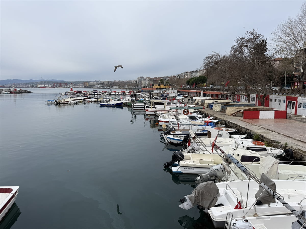 Tekirdağlı balıkçılar Marmara Denizi'nde 2 gündür etkili olan lodos dolayısıyla ava...