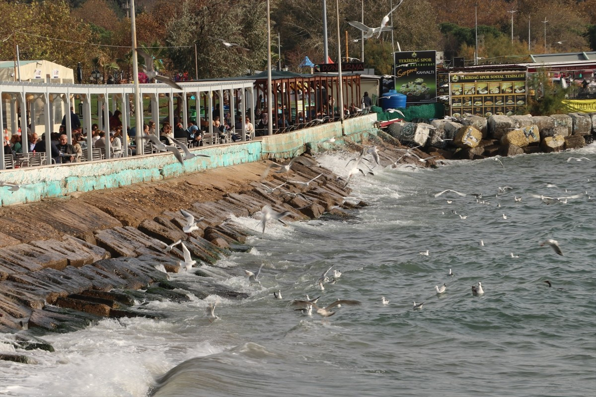 Tekirdağlı balıkçılar, Marmara Denizi'nde etkili olan lodos nedeniyle ava çıkamadı.