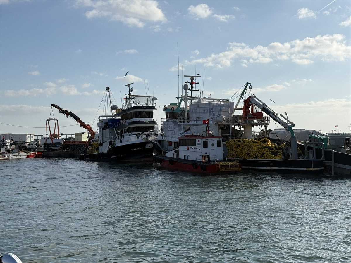 Tekirdağlı balıkçılar, yeni yılda sardalya ve istavrit umuduyla denize açılacak.