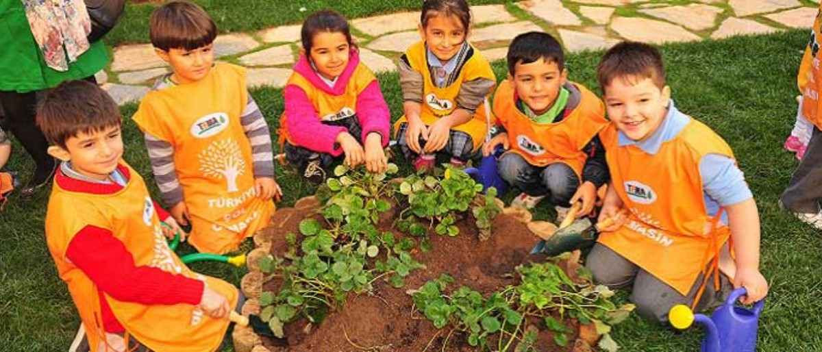 Tema Vakfı nedir