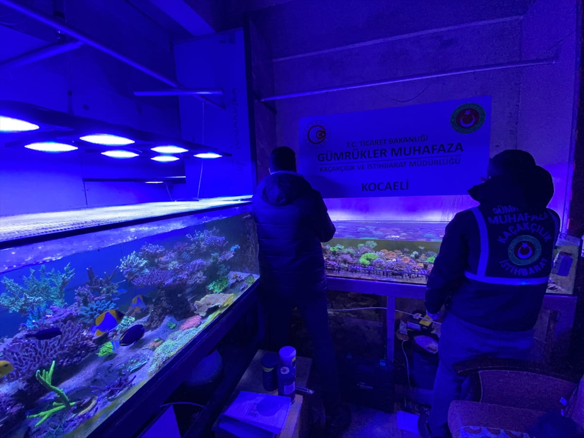 Ticaret Bakanlığı Gümrükler Muhafaza Genel Müdürlüğü ekiplerince, geçen yıl gerçekleştirilen 51...