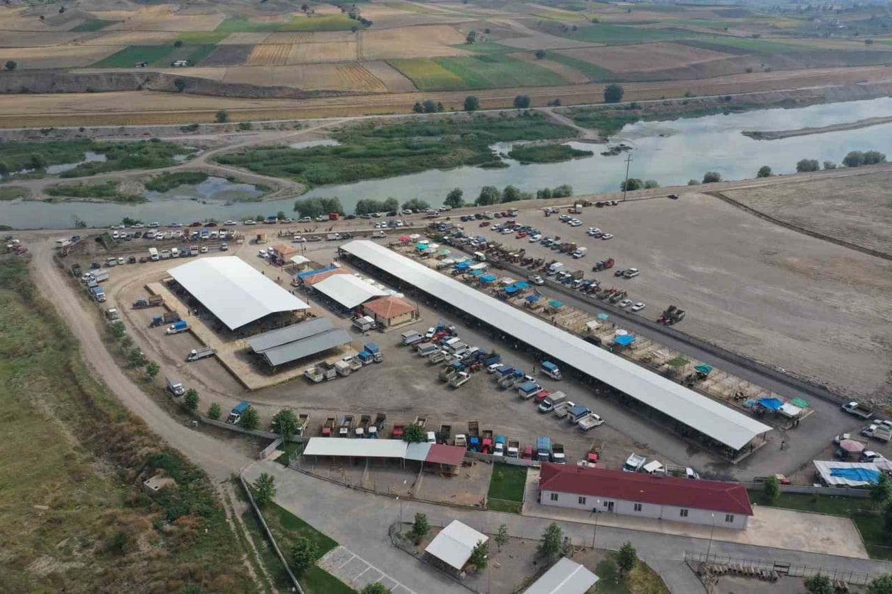 TOKAT'IN ERBAA İLÇESİNDE BULUNAN BİR HAYVANCILIK İŞLETMESİNDE YAPILAN KONTROLLERDE KOYUN ÇİÇEK...