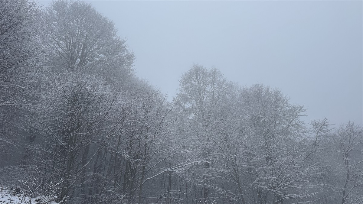 Tokat'ın yüksek kesimlerinde kar yağışı ve sis etkili oldu.