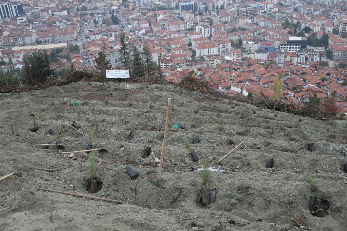 Tokat'ta 11 Kasım Milli Ağaçlandırma Günü dolayısıyla fidan dikim töreni...