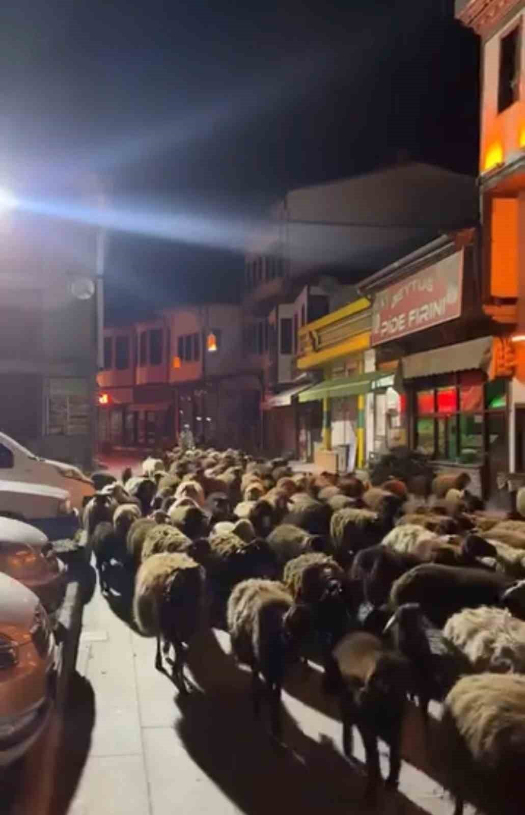 TOKAT’TA BAHARIN GELİŞİYLE BAŞLAYAN GELENEKSEL YAYLA GÖÇÜ KAPSAMINDA ŞEHİR MERKEZİNDEN GEÇİRİLEN...