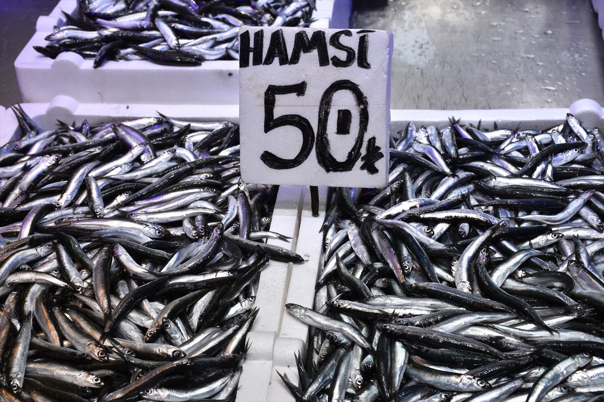 Trabzon'da bol miktarda avlanan hamsi, balıkçı tezgahlarında kilogramı 50 ila 75 lira arasında...