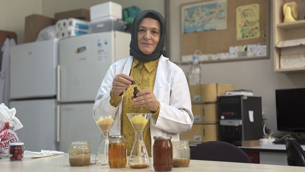 Trabzon'da, Karadeniz Teknik Üniversitesi bünyesinde kurulan Arı ve Arı Ürünleri Uygulama ve...