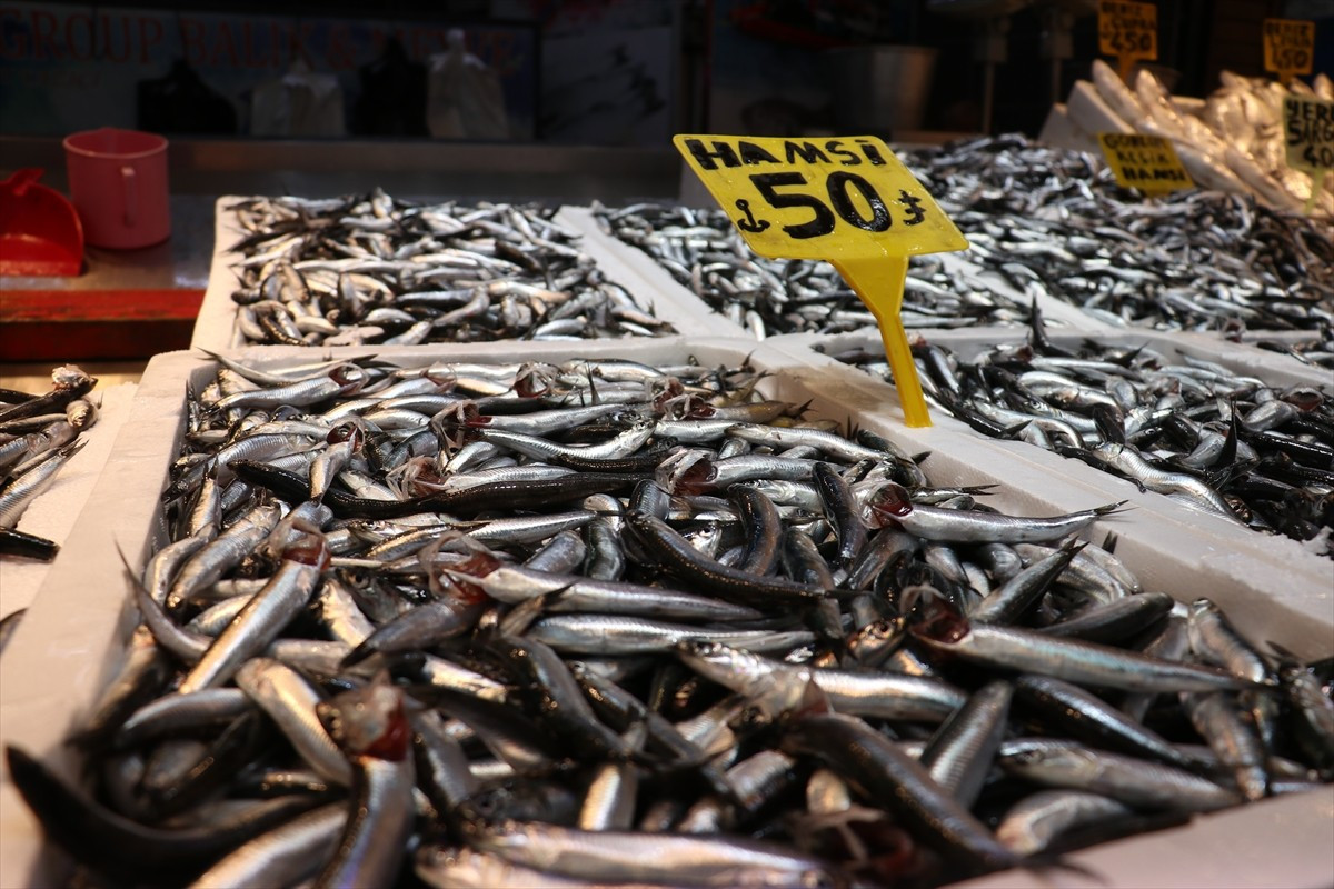 Trabzon'da son haftalarda bol miktarda avlanan hamsi, kilogramı 50 liradan satışa sunuluyor.