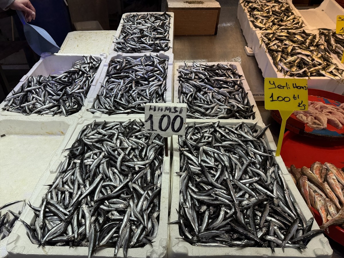 Trabzon'daki balıkçı tezgahlarında hamsi ve istavritin kilogramı 100 liradan satışa...