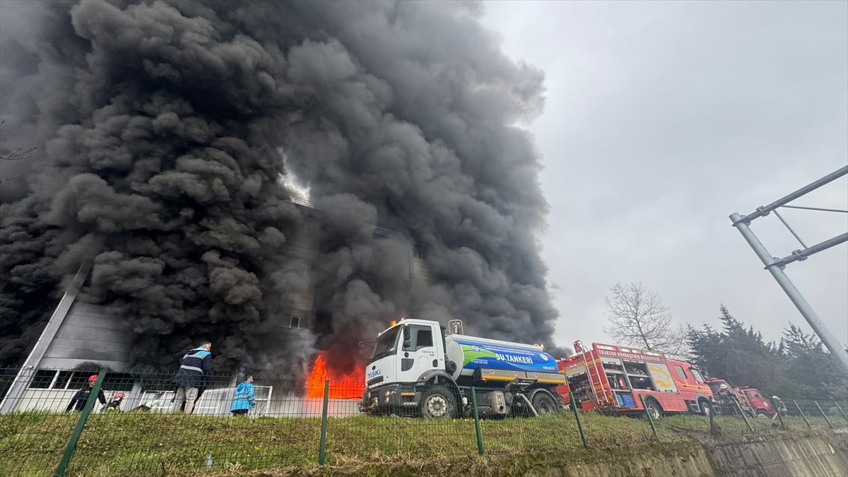 Trabzon'un Arsin ilçesindeki bir fındık fabrikasının deposunda çıkan yangına itfaiye ekipleri...