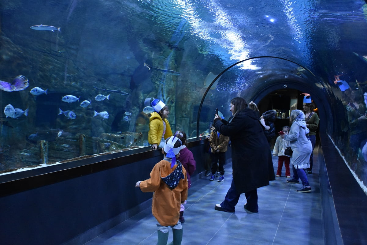 Trabzon'un önemli turizm mekanlarından, su altındaki canlıların tanıtıldığı Trabzon Akvaryum'u...