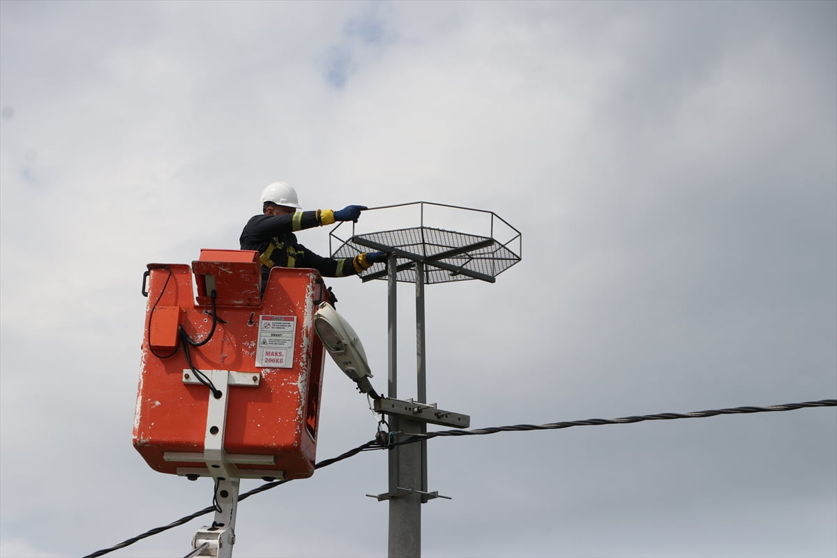 Trakya'da elektrik direklerine, leyleklerin akıma kapılmasını önlemek amacıyla 1000 özel platform...