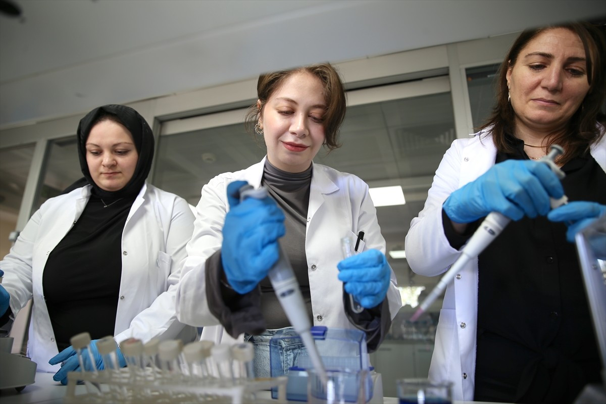 TÜBİTAK desteğiyle 5 üniversiteden akademisyenler, Karadeniz'de bazı balık türlerinde...