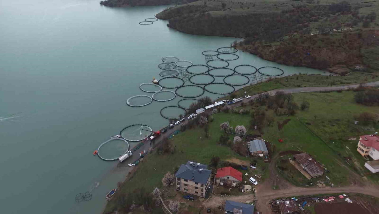 TUNCELİ UZUNÇAYIR BARAJ GÖLÜ’NDE İLK DEFA KAFES BALIKÇILIĞINA GEÇİLDİ VE 1,5 MİLYON YAVRU ALABALIK...