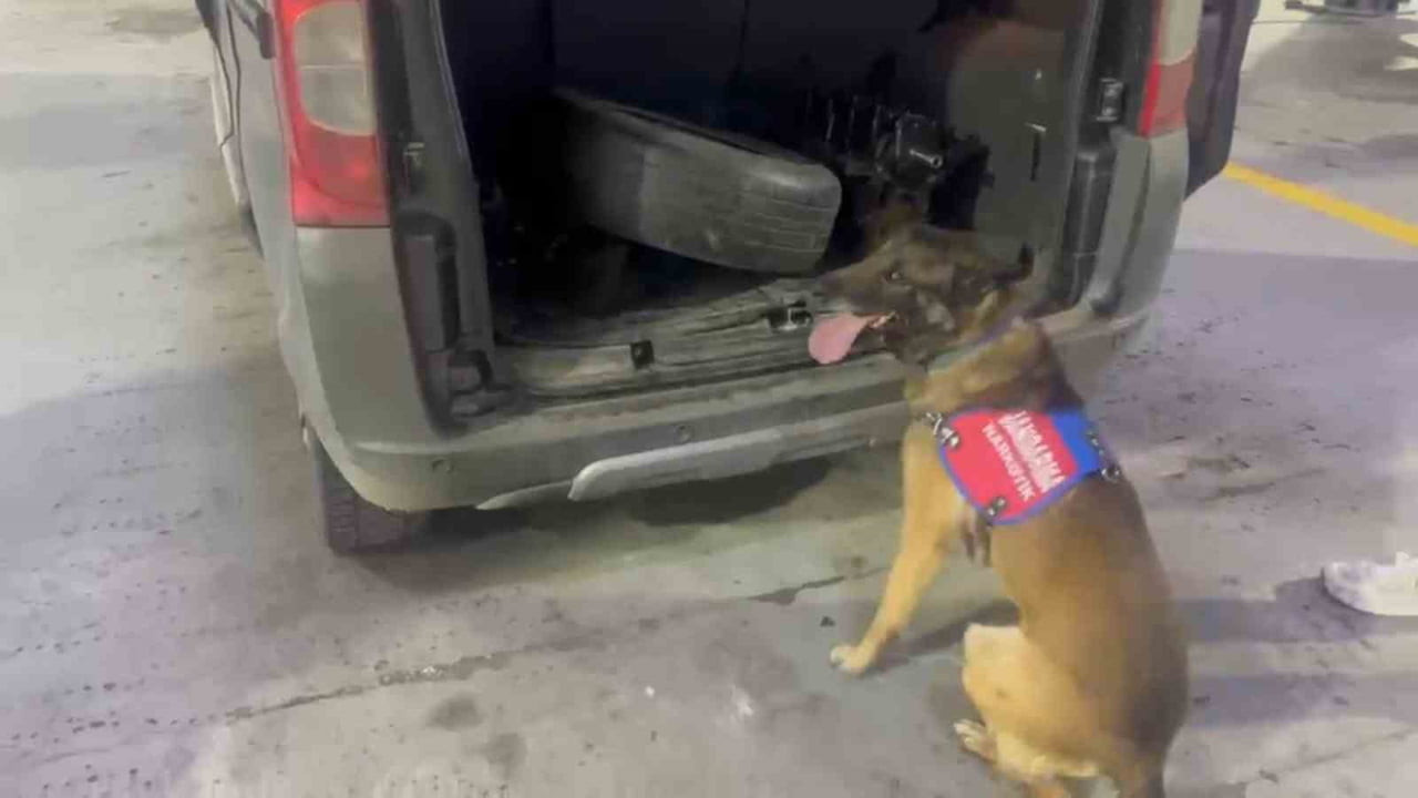 TUNCELİ’DE BİR ARACIN BAGAJ VE KAPUTUNA GİZLENEN UYUŞTURUCU MADDE, NARKOTİK KÖPEĞİ ‘AYAR’...