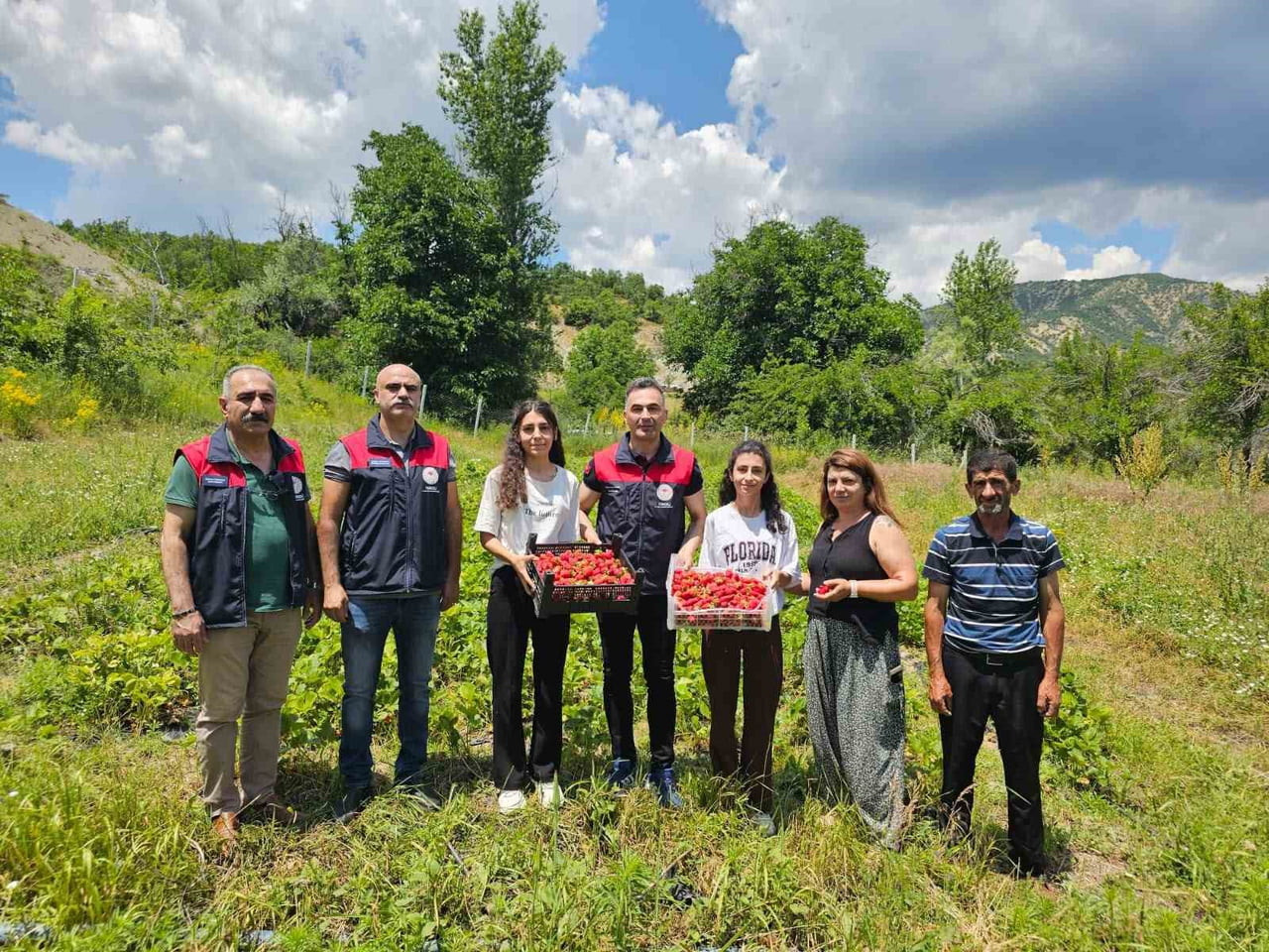 TUNCELİ’NİN GEYİKSUYU KÖYÜNDE YÜRÜTÜLEN ALBİON ÇİLEK PROJESİ KAPSAMINDA DÜZENLENEN TARLA GÜNÜ...