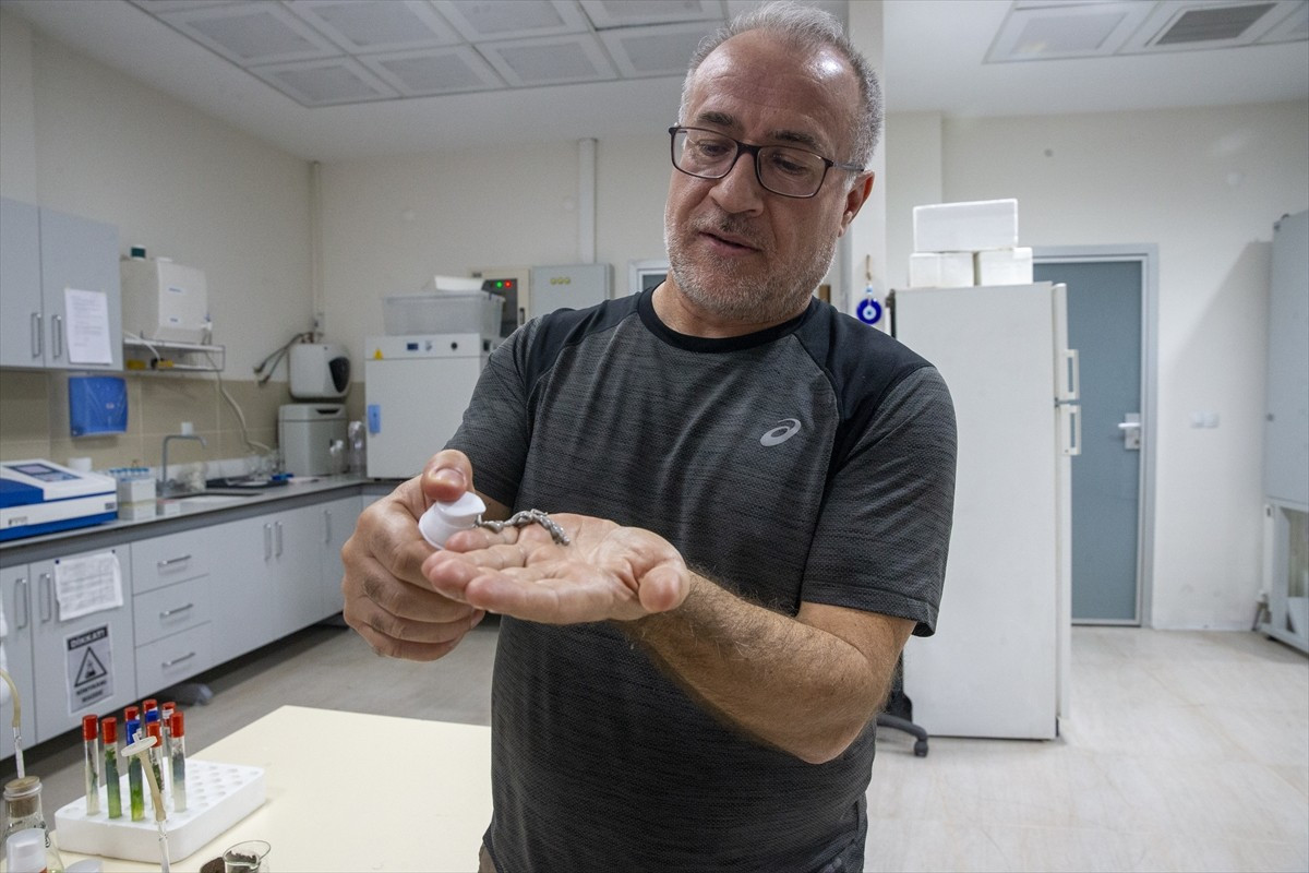 Türk akademisyenler, mürekkep balığından elde edilen melanin pigmenti ve mikroalglerden izole...