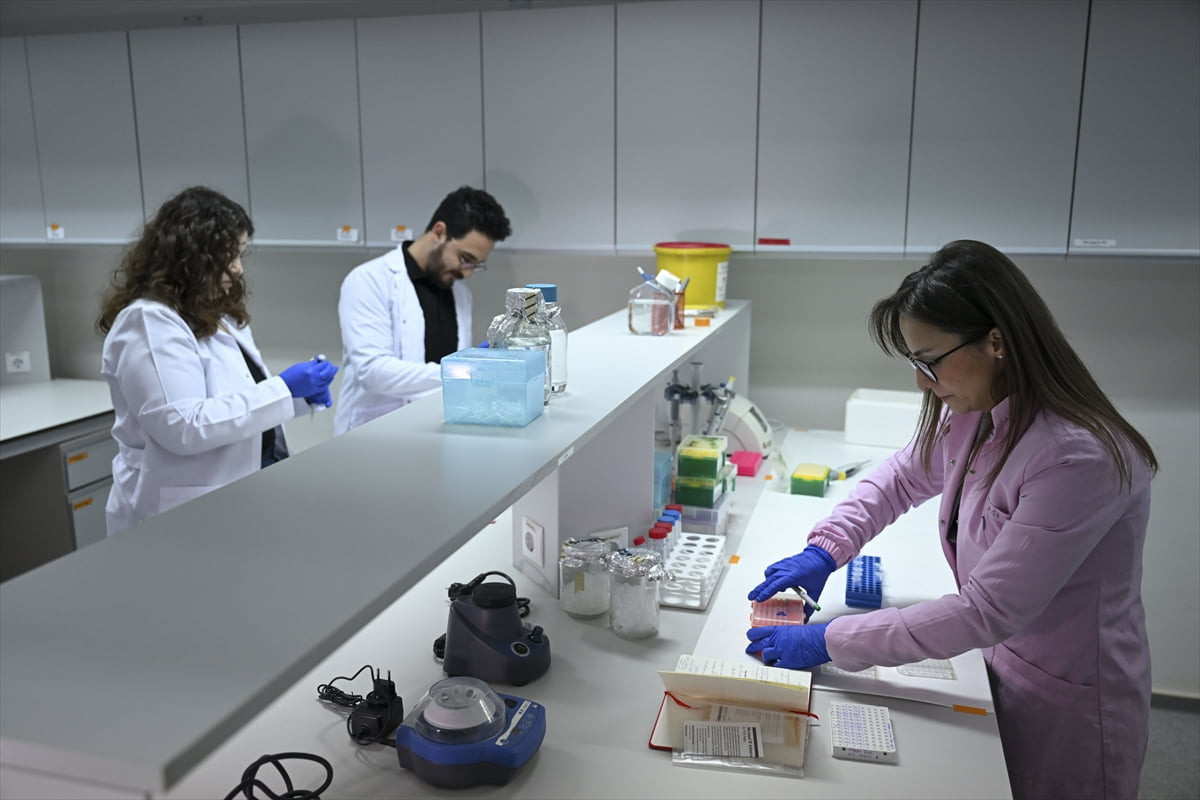 Türk araştırmacılar, kanser tedavisinde kullanılan ilaçların nano boyuttaki sistemler sayesinde...