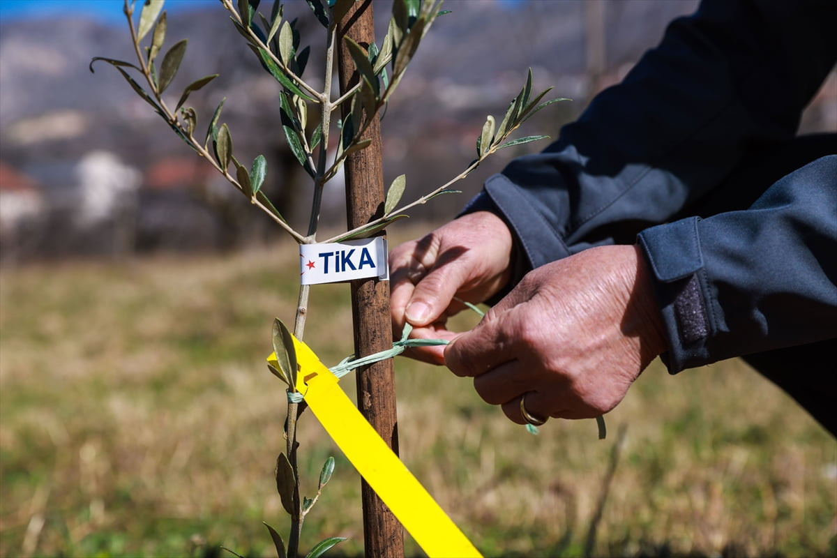 Türk İşbirliği ve Koordinasyon Ajansı Başkanlığı (TİKA), Bosna Hersek'te kadınların tarımsal...