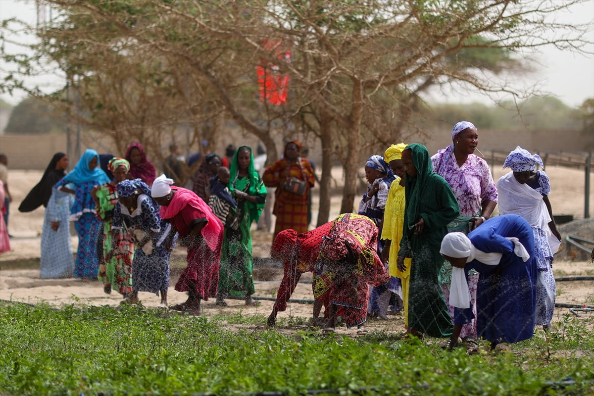 Türk İşbirliği ve Koordinasyon Ajansı (TİKA), Senegal'de Batı Afrika Kadınlar Derneği (AFAO) ile 3...