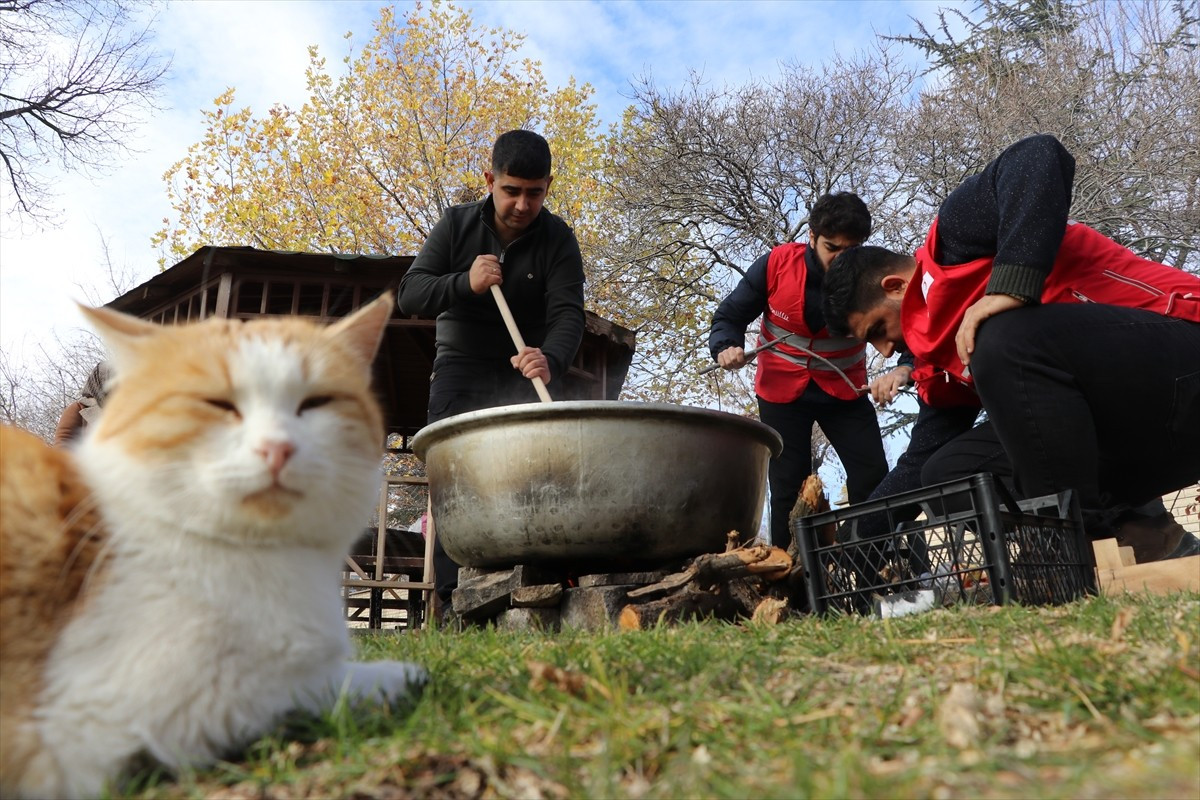 Türk Kızılay Elazığ Şubesi gönüllüleri ile Sokağa Can Ver Derneğince "Kazanda iyilik var"...
