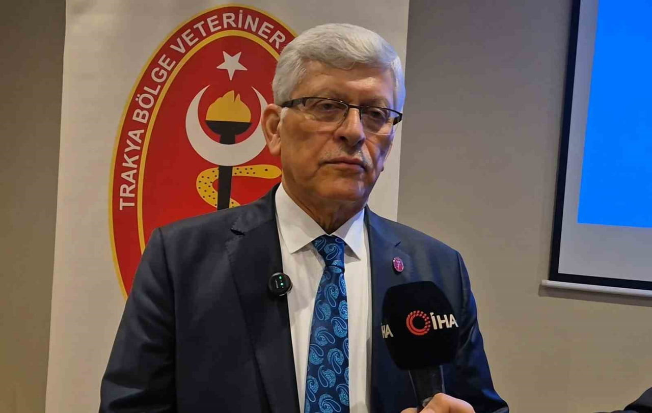 TÜRK VETERİNER HEKİMLERİ BİRLİĞİ MERKEZ KONSEYİ BAŞKANI ALİ EROĞLU, 4 NİSAN DÜNYA SOKAK HAYVANLARI...