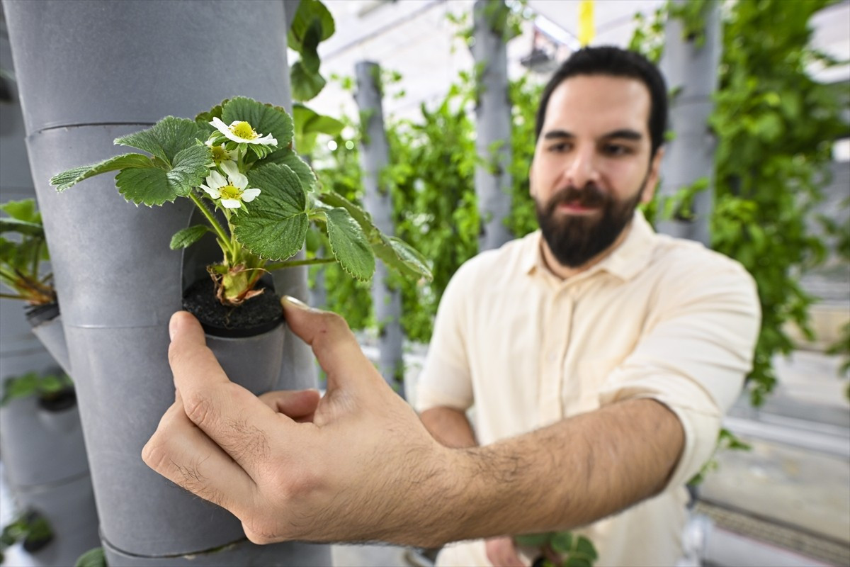 Türkiye Enerji, Nükleer ve Maden Araştırma Kurumu (TENMAK) bünyesinde gerçekleştirilen topraksız...