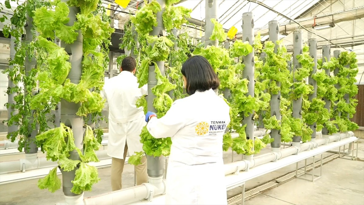 Türkiye Enerji, Nükleer ve Maden Araştırma Kurumu (TENMAK) bünyesindeki laboratuvarlarda yüksek...