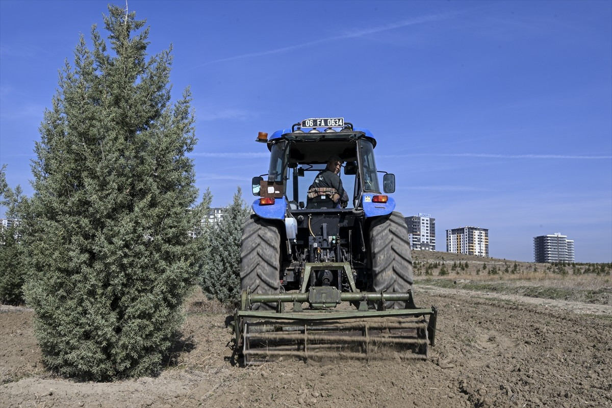 Türkiye genelinde "Milli Ağaçlandırma Seferberliği"nin başlatıldığı 2019'da Ankara'nın Susuz...