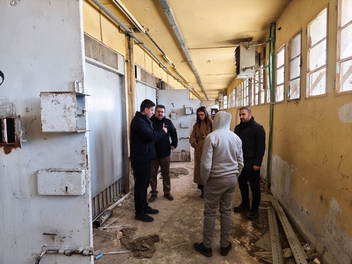 Türkiye İnsan Hakları ve Eşitlik Kurumunca (TİHEK) hazırlanan Suriye'de Beşşar Esed Rejimi...