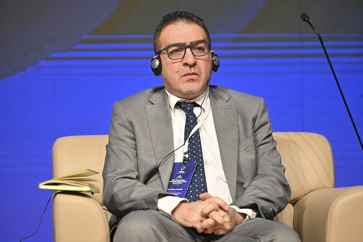 Türkiye İnsan Hakları ve Eşitlik Kurumunun (TİHEK) Ankara'da düzenlenen "Kriz Dönemlerinde İnsan...