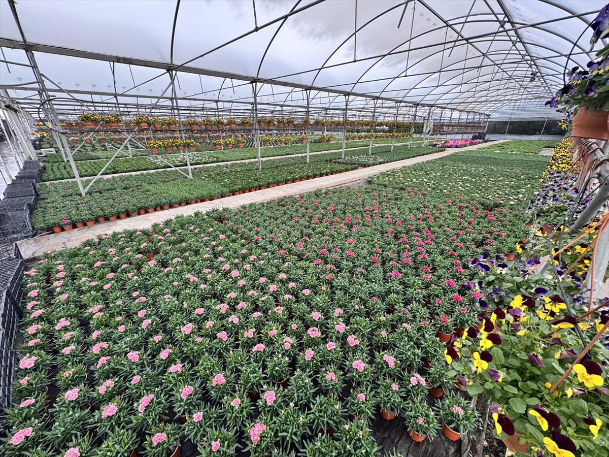 Türkiye'de iklim değişikliğine bağlı azalan yağışlardan etkilenen sektörlerden biri olan süs...